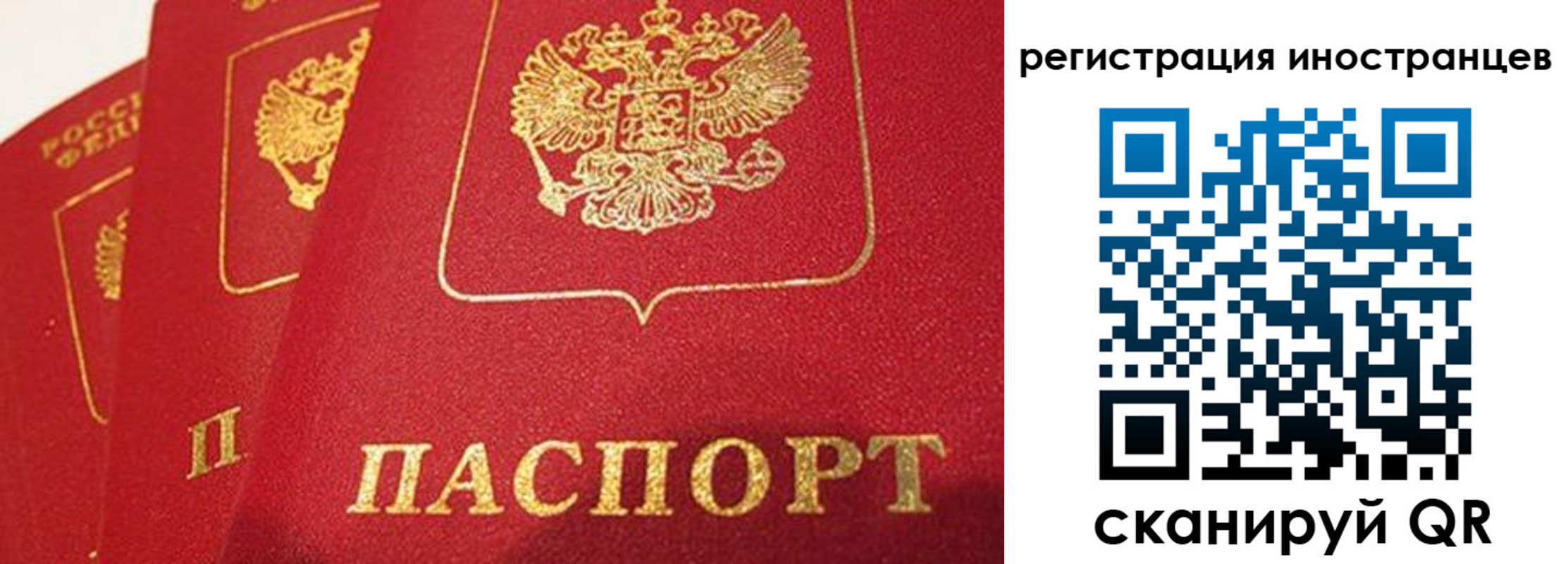 временная прописка в Камышине